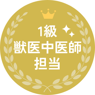 1級獣医中医師担当